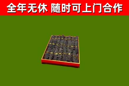 廊坊回收海参